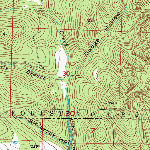 Topographic Map of Hottle Branch, MO