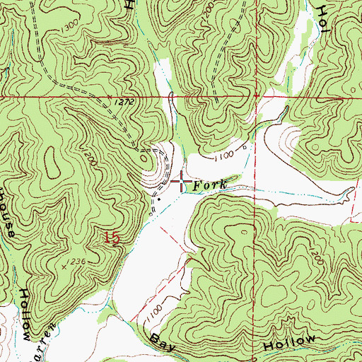 Topographic Map of Hulsey Hollow, MO