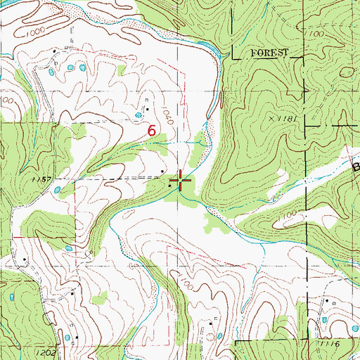 Topographic Map of Hutchins Creek, MO