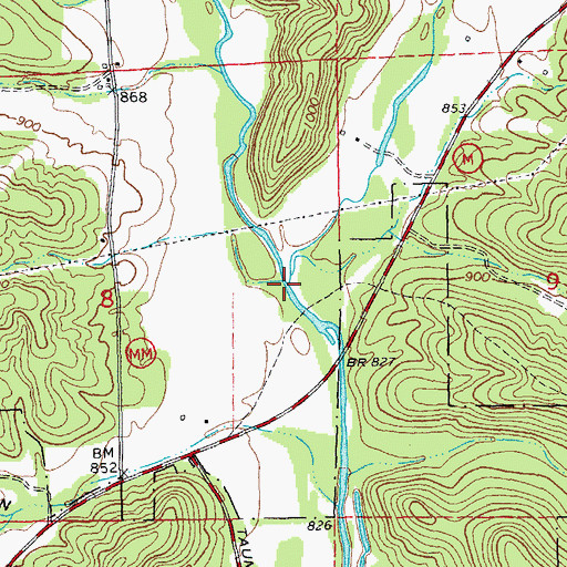 Topographic Map of Imboden Fork, MO