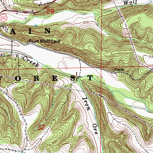 Topographic Map of Iron Ore Creek, MO
