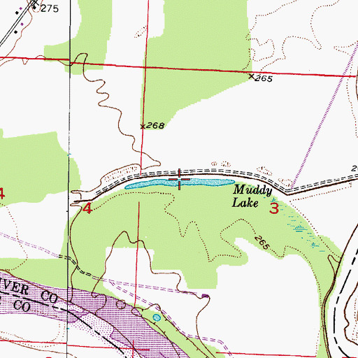 Topographic Map of Muddy Lake, AR