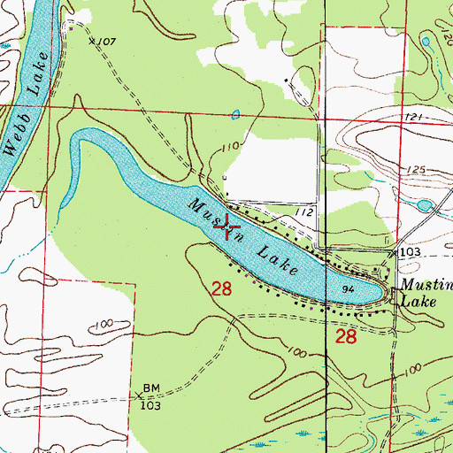 Topographic Map of Mustin Lake, AR