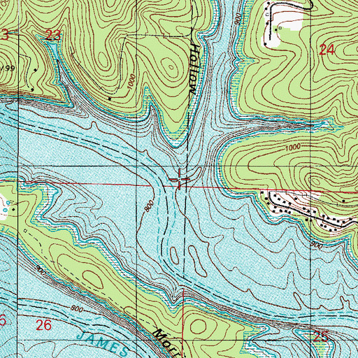 Topographic Map of Jackson Hollow, MO
