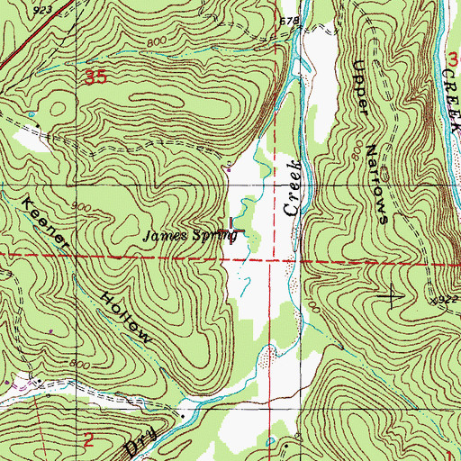 Topographic Map of James Spring, MO