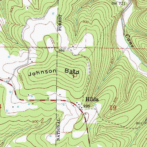 Topographic Map of Johnson Bald, MO