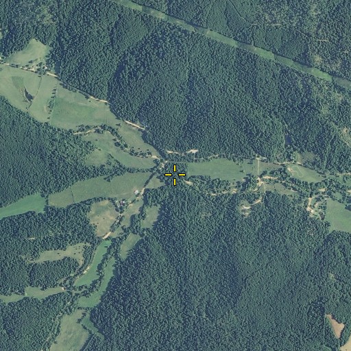 Aerial/Satellite Image of Johnson Branch, MO
