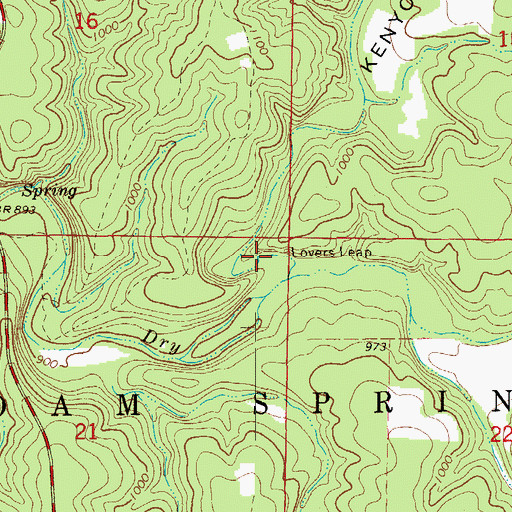 Topographic Map of Kenyon Hollow, MO