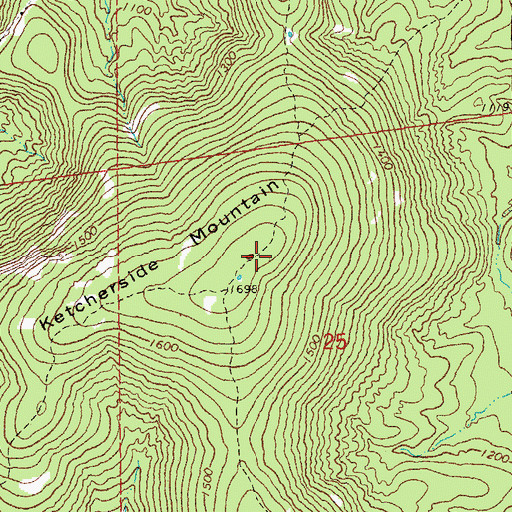 Topographic Map of Ketcherside Mountain, MO