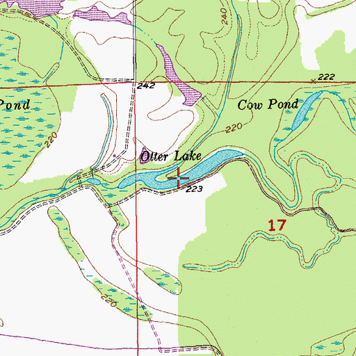 Topographic Map of Otter Lake, AR