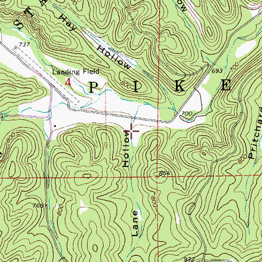 Topographic Map of Lane Hollow, MO