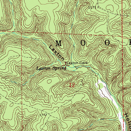 Topographic Map of Laxton Spring, MO