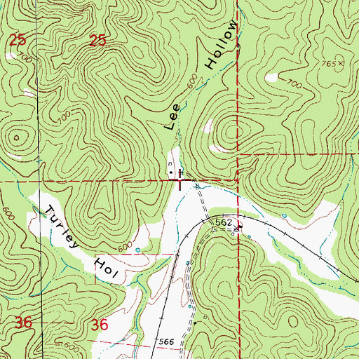 Topographic Map of Lee Hollow, MO