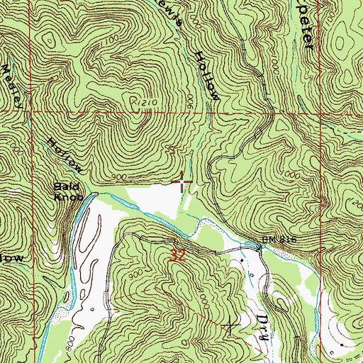 Topographic Map of Lewis Hollow, MO