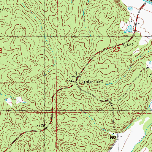 Topographic Map of Limberlost, MO