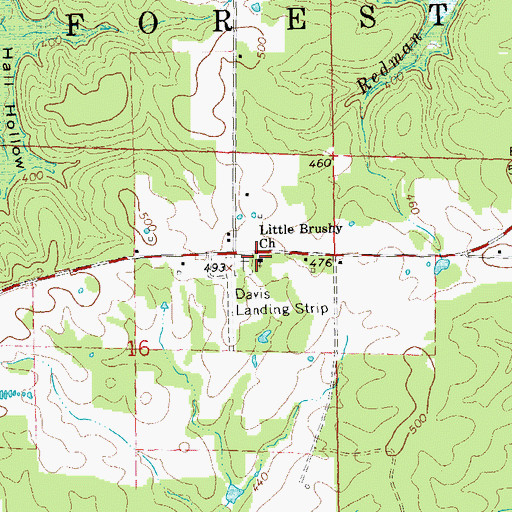 Topographic Map of Little Brushy Church, MO