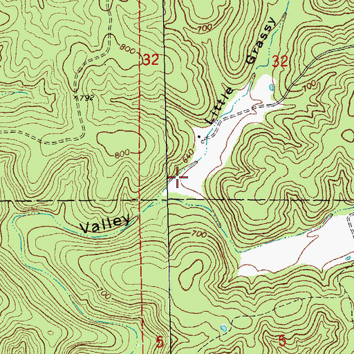 Topographic Map of Little Grassy Valley, MO