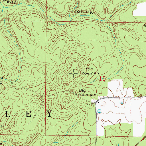 Topographic Map of Little Yoeman, MO