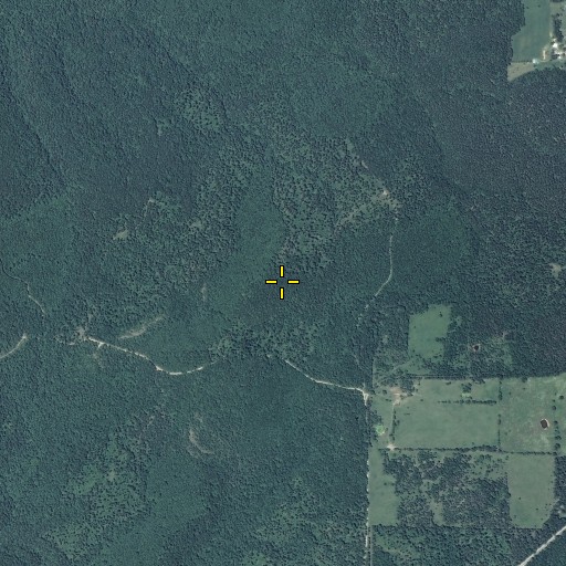 Aerial/Satellite Image of Little Yoeman, MO