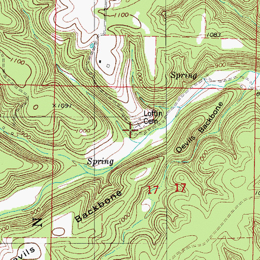 Topographic Map of Loftin Church, MO