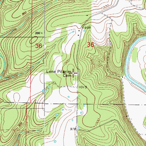 Topographic Map of Lone Pilgrim Cemetery, MO