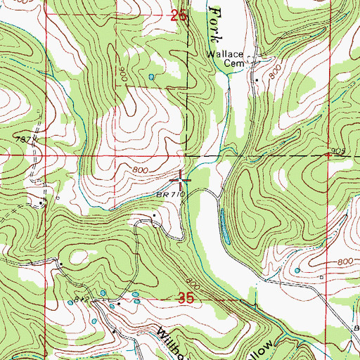 Topographic Map of Long Run, MO