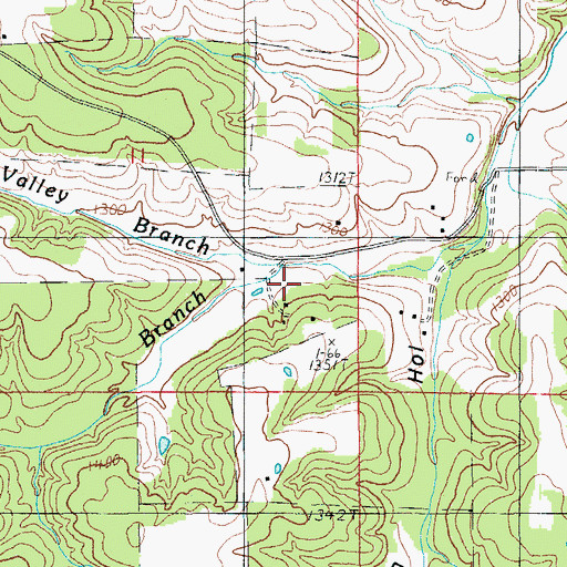 Topographic Map of Long Valley Branch, MO