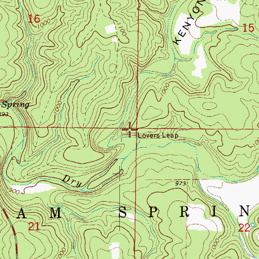 Topographic Map of Lovers Leap, MO