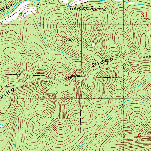 Topographic Map of Loving Ridge, MO
