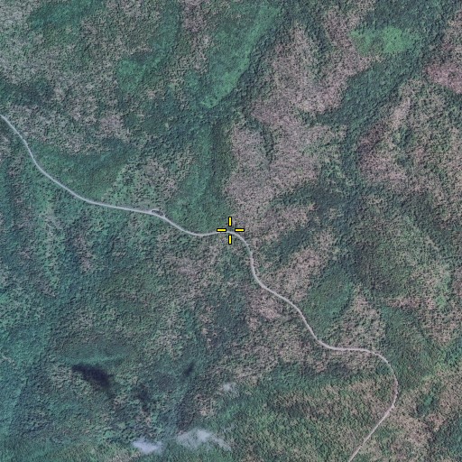 Aerial/Satellite Image of Low Gap Ridge, MO