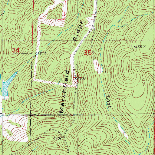 Topographic Map of Marshfield Ridge, MO