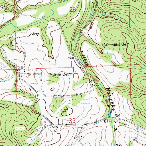 Topographic Map of Martin Cemetery, MO
