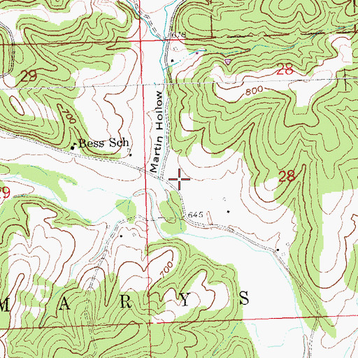 Topographic Map of Martin Hollow, MO