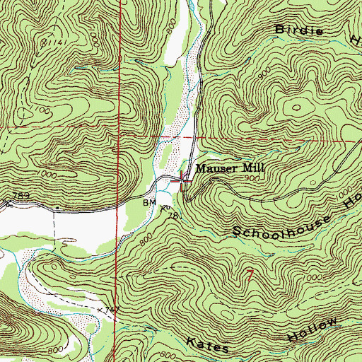Topographic Map of Mauser Mill, MO