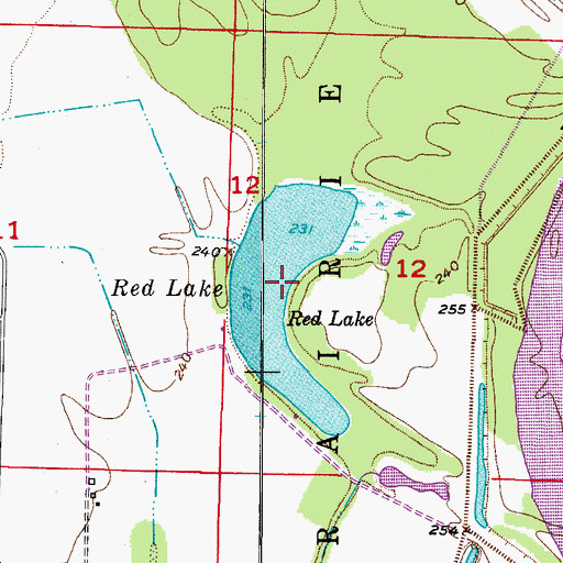 Topographic Map of Red Lake, AR