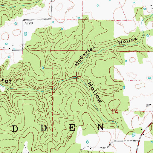 Topographic Map of McCarter Hollow, MO