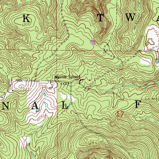 Topographic Map of Merrill School, MO