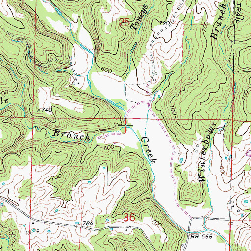 Topographic Map of Middle Branch, MO