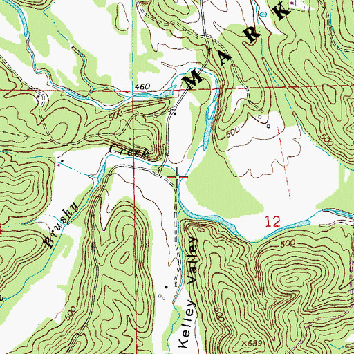 Topographic Map of Middle Brushy Creek, MO