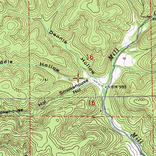 Topographic Map of Middle Hollow, MO