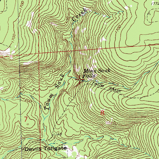 Topographic Map of Mina Sauk Falls, MO