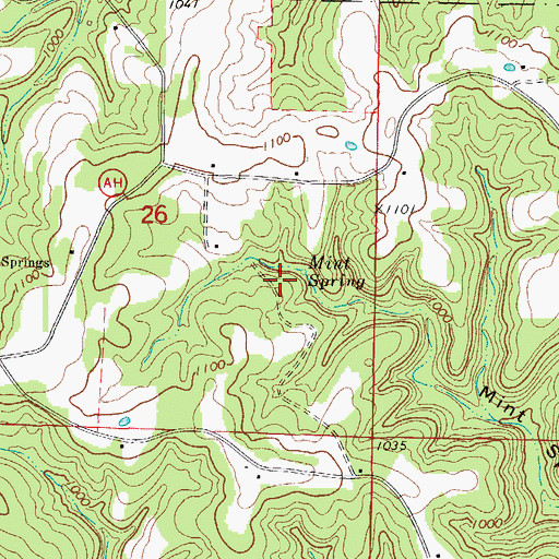 Topographic Map of Mint Spring, MO