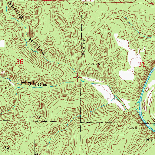 Topographic Map of Mint Spring Hollow, MO