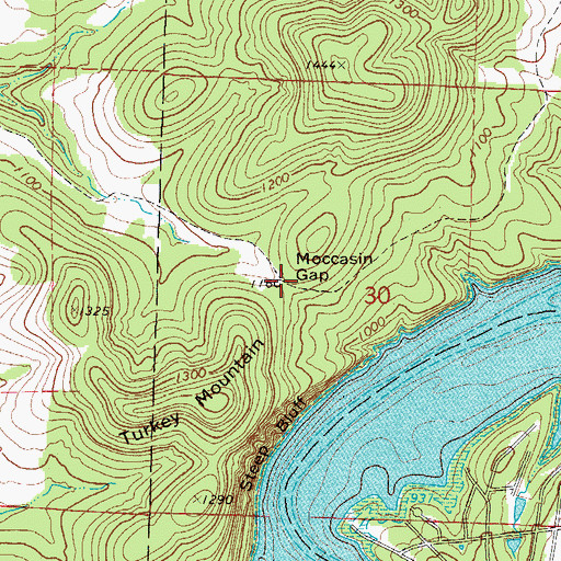 Topographic Map of Moccasin Gap, MO