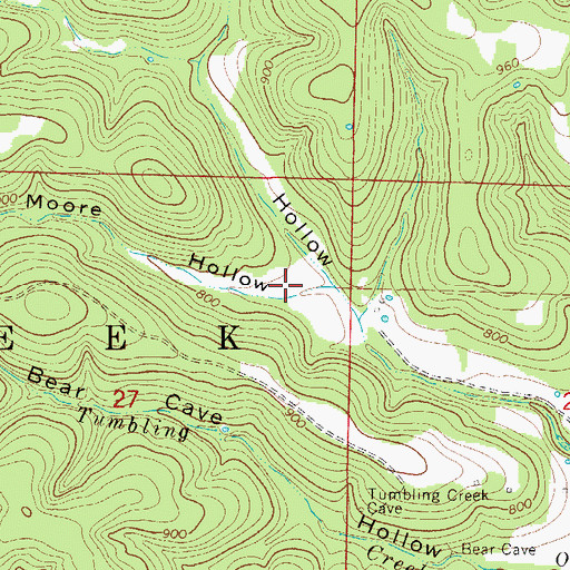 Topographic Map of Moore Hollow, MO