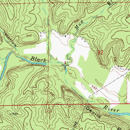 Topographic Map of Mud Branch, MO