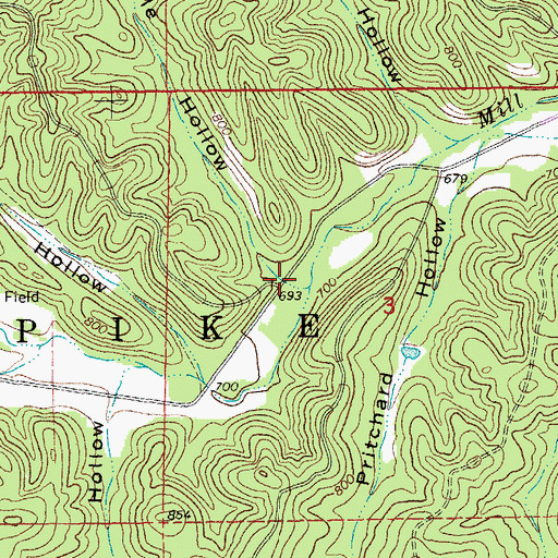 Topographic Map of Mule Hollow, MO
