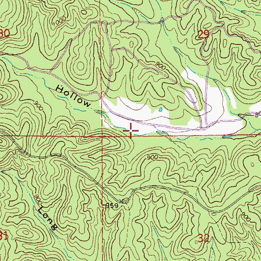 Topographic Map of Mule Hollow, MO