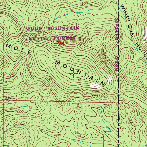 Topographic Map of Mule Mountain, MO