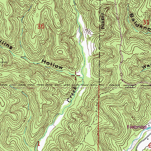 Topographic Map of Mullins Hollow, MO